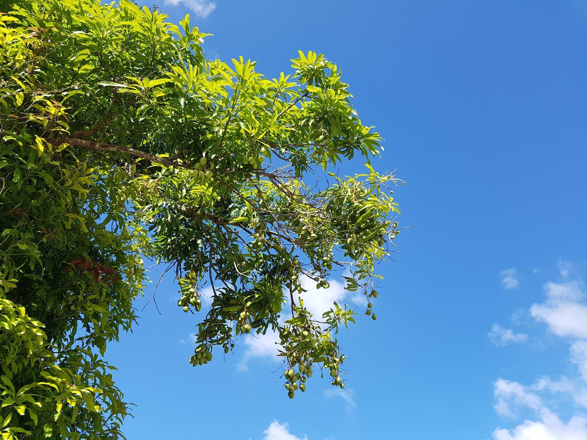 Saipan Family Residence Susupe المظهر الخارجي الصورة