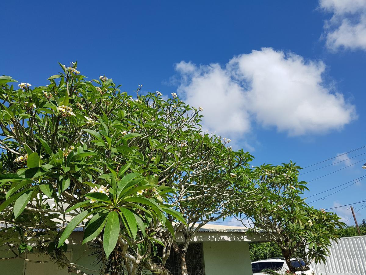 Saipan Family Residence Susupe المظهر الخارجي الصورة